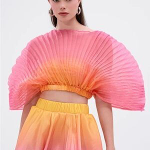 AKIRA Pink and Orange Pleated Crop Top